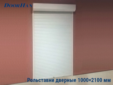 Рольставни на двери 1000×2100 мм в Челябинске от 28333 руб.