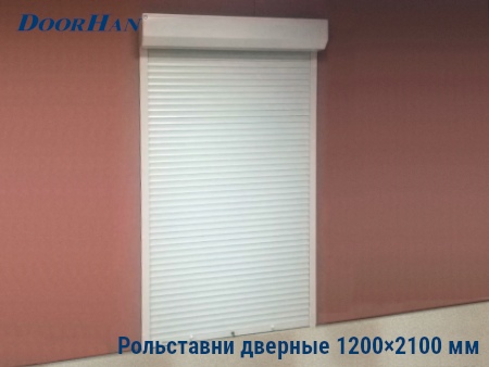 Рольставни на двери 1200×2100 мм в Челябинске от 31210 руб.