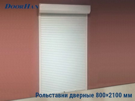 Рольставни на двери 800×2100 мм в Челябинске от 25457 руб.